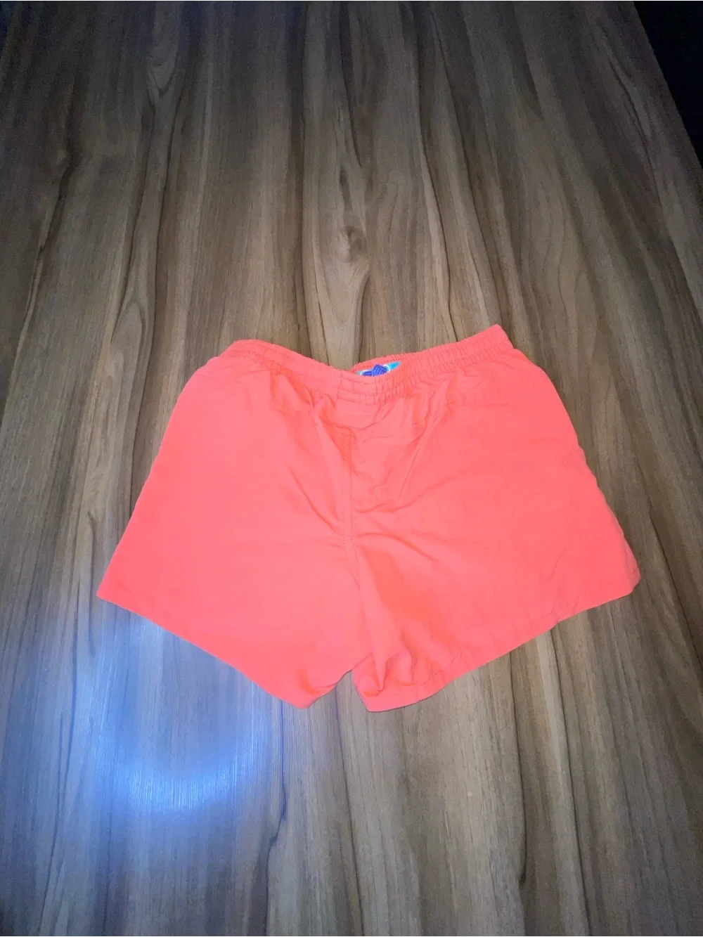 Patagonia Coral Shorts  with Teal Waistband and Purple Drawcord L